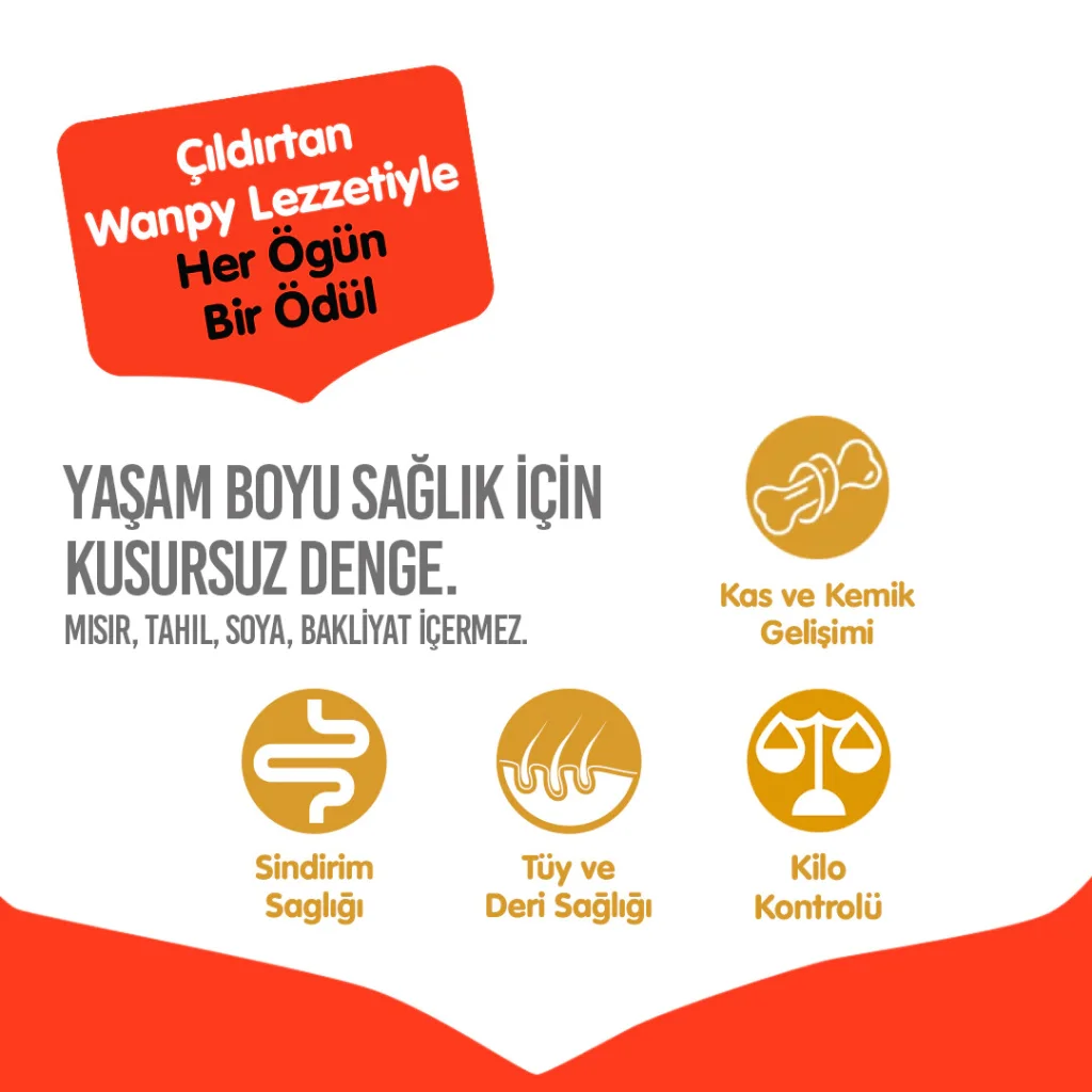 Wanpy Sığır Etli Tahılsız Yetişkin Köpek Maması 1,5kg