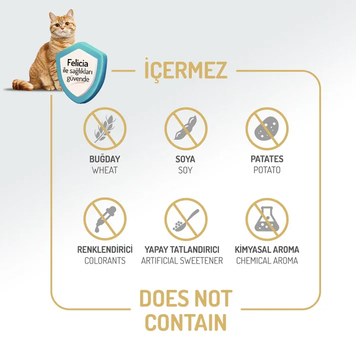 Felicia Kolajen Destekli Hipoalerjenik Somonlu Kısırlaştırılmış Yetişkin Kedi Maması 2KG