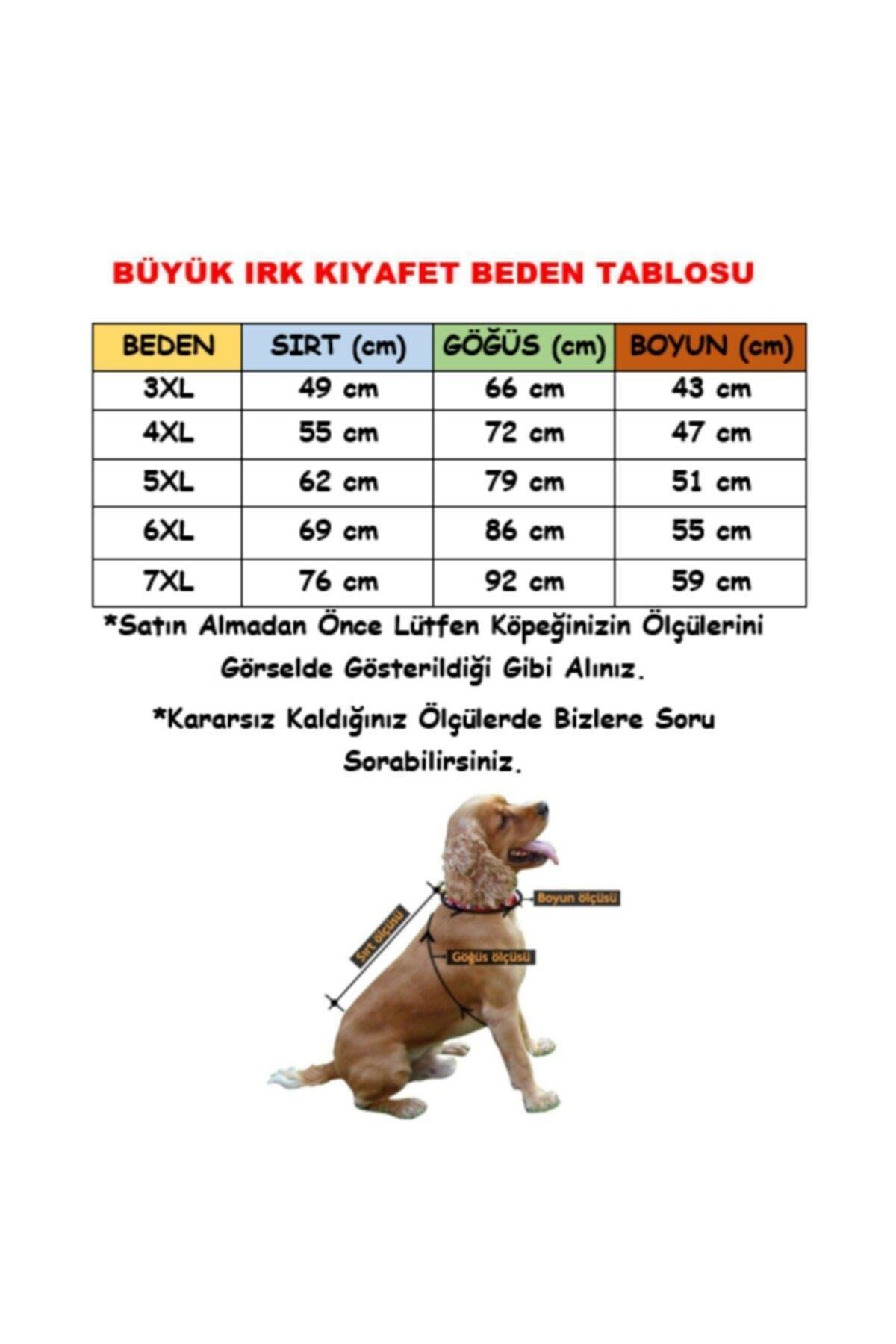 Pawstar Mint Bone Hunter Orta-Büyük Irk Köpek Sweatshirt 6XL