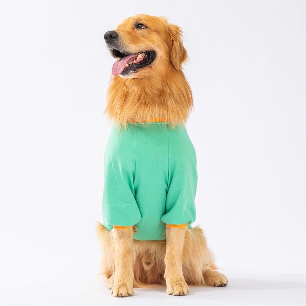 Pawstar Mint Bone Hunter Orta-Büyük Irk Köpek Sweatshirt 5XL