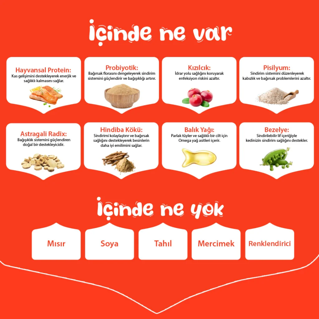 Wanpy Somonlu Tahılsız Yetişkin Kedi Maması 1,5kg