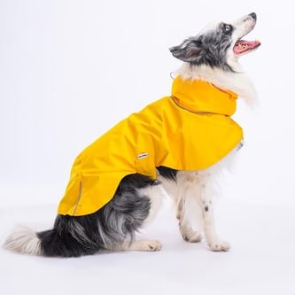 Pawstar Colombia Sarı Su Geçirmez Orta-Büyük Irk Köpek Pratik Yağmurluk XL Beden