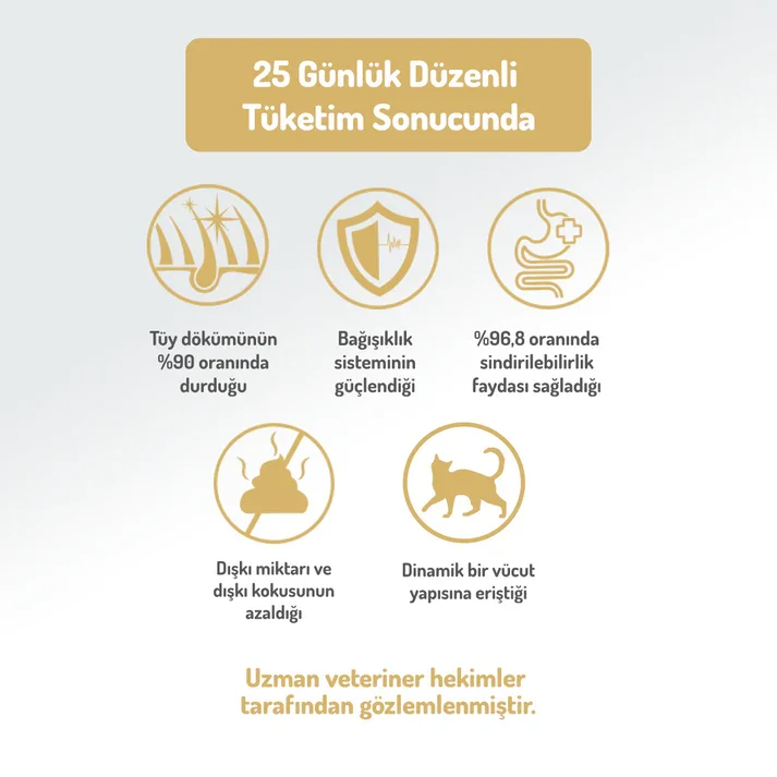 Felicia Kolajen Destekli Hipoalerjenik Somonlu Yetişkin Kedi Maması 2KG
