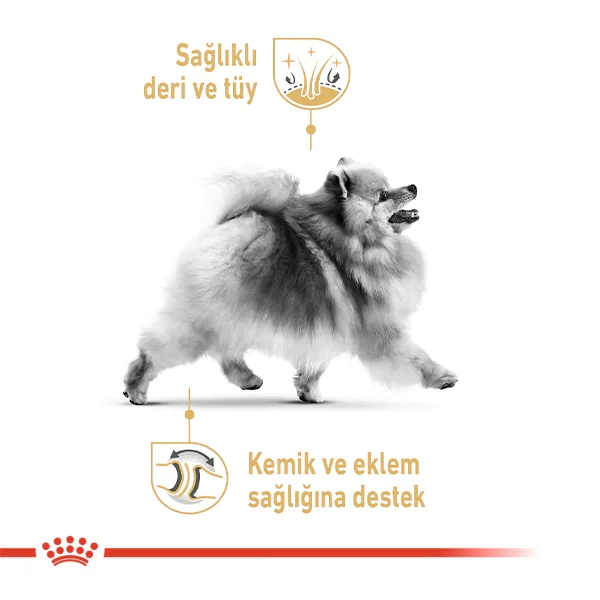 Royal Canin Pomeranian Yetişkin Köpek Maması 1,5kg
