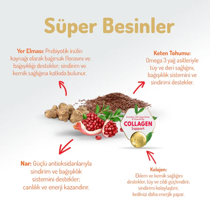 Felicia Kolajen Destekli Hipoalerjenik Somonlu Yetişkin Kedi Maması 2KG