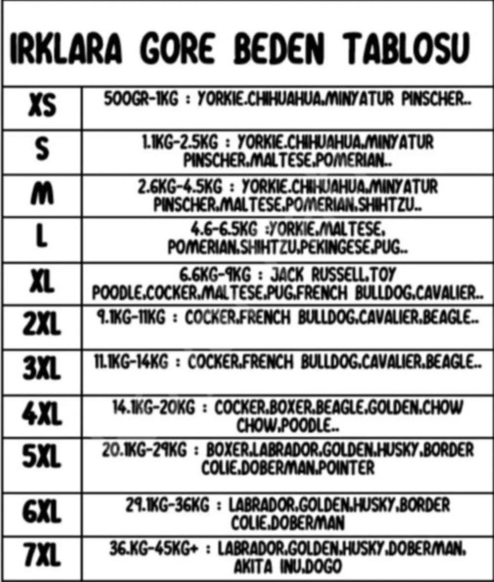 Pawstar Mint Bone Hunter Orta-Büyük Irk Köpek Sweatshirt 6XL