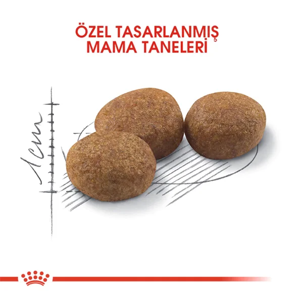 Royal Canin Sterilised 37 Kısırlaştırılmış Kedi Maması 2kg