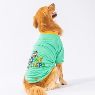 Pawstar Mint Bone Hunter Orta-Büyük Irk Köpek Sweatshirt 5XL