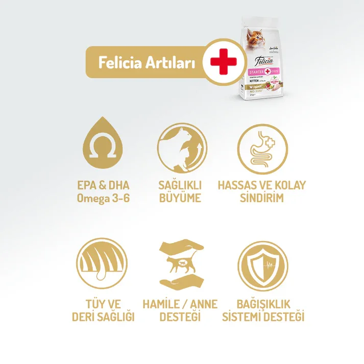 Felicia Kolajen Destekli Hipoalerjenik Tavuklu Yavru Kedi Maması 2KG