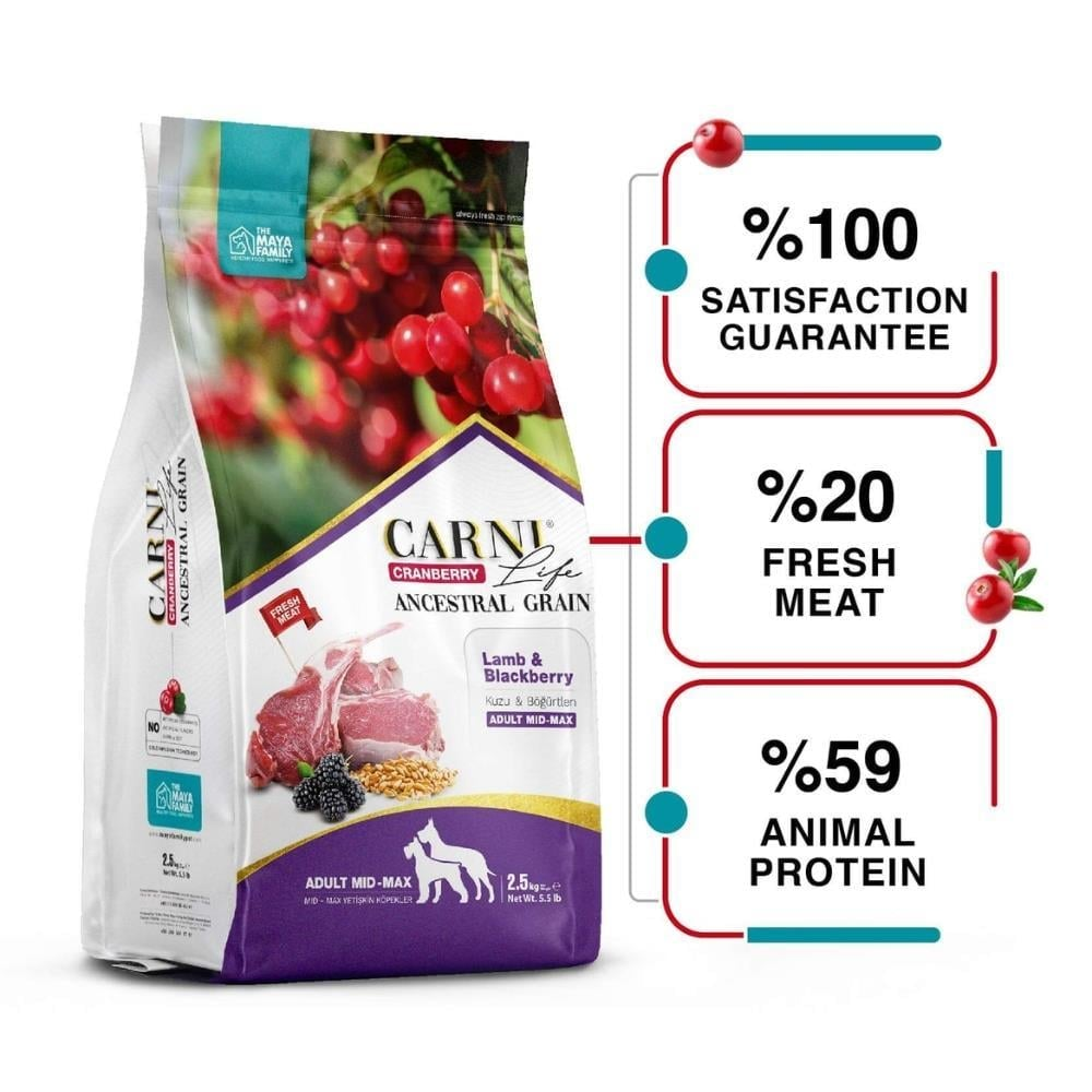 Carni Life Düşük Tahıllı Kuzu Etli Boğurtlenli Orta Büyük Irk Köpek Maması 12+3 kg