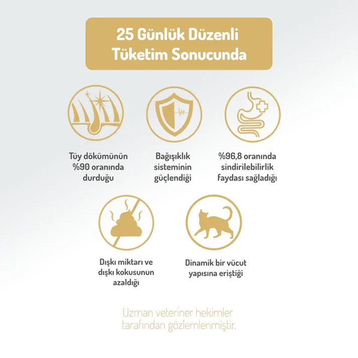 Felicia Kolajen Destekli Hipoalerjenik Tavuklu Kısırlaştırılmış Yetişkin Kedi Maması 2KG