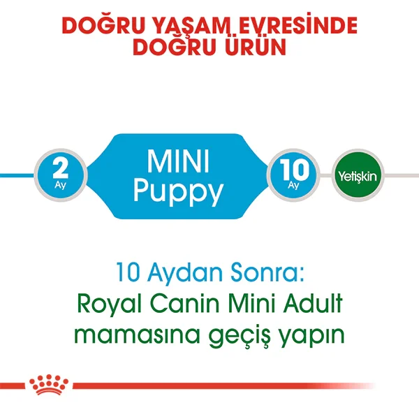 Royal Canin Mini Junior Küçük Irk Yavru Köpek Maması 4kg
